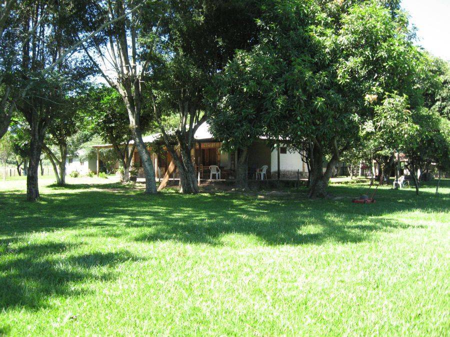 Estancia à 100 Hektar am Rande von José Fassardi Paraguay