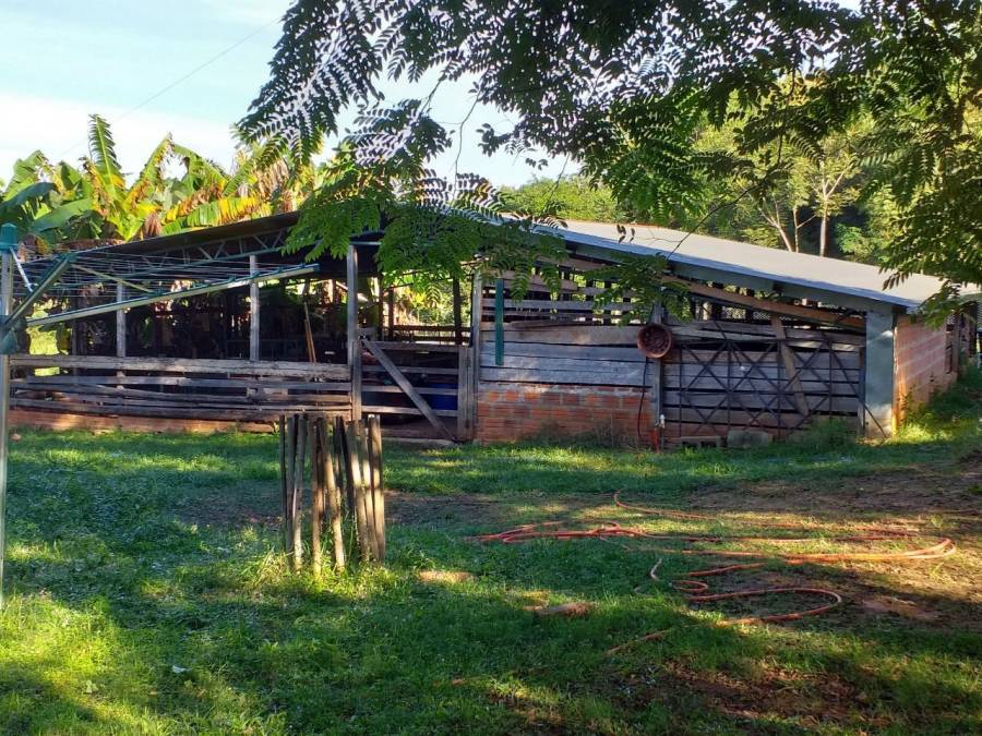 Granja 5 Hektar Ideal Zur Selbstversorgung Paraguay granja-5-hektar-ideal-zur-selbstversorgung-paraguay