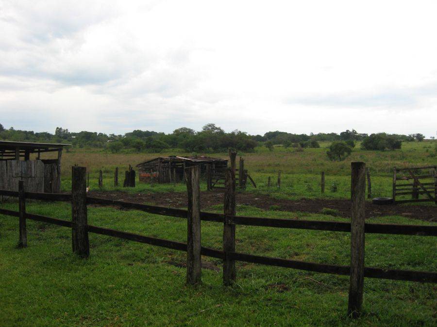 Estancia à 100 Hektar am Rande von José Fassardi Paraguay