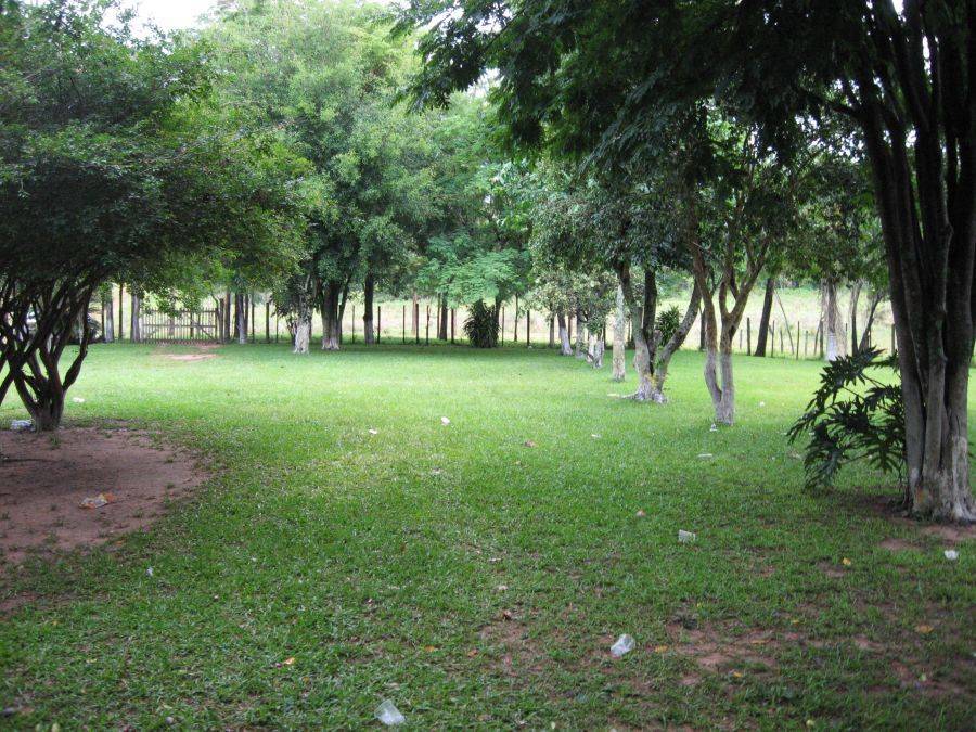 Estancia à 100 Hektar am Rande von José Fassardi Paraguay