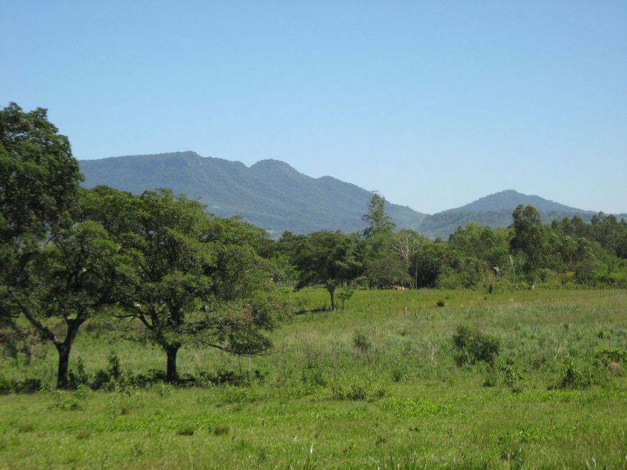 Estancia à 100 Hektar am Rande von José Fassardi Paraguay